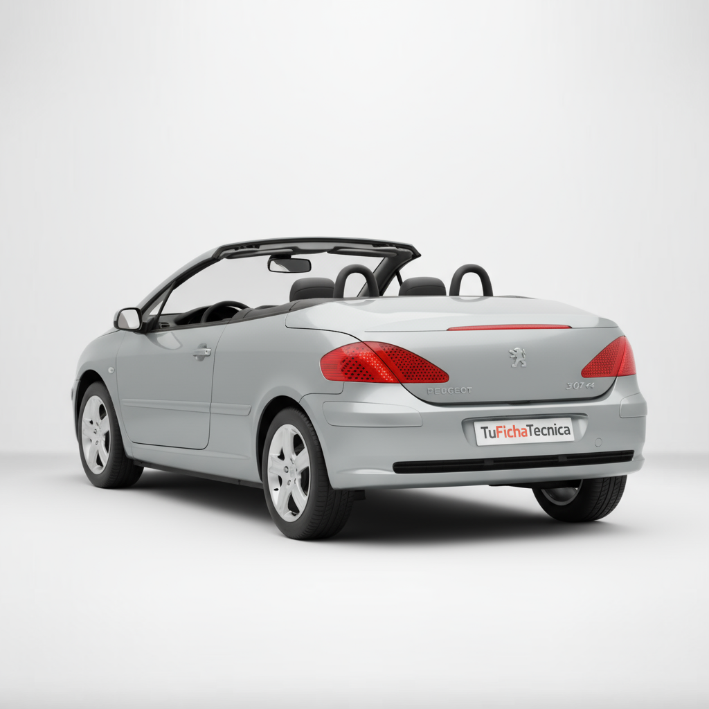 Peugeot 307 - Vista 2