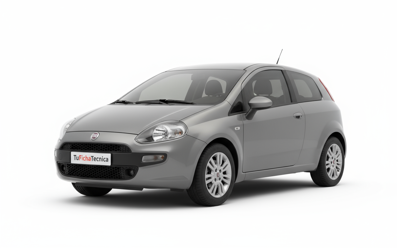 Fiat Punto - Vista 1