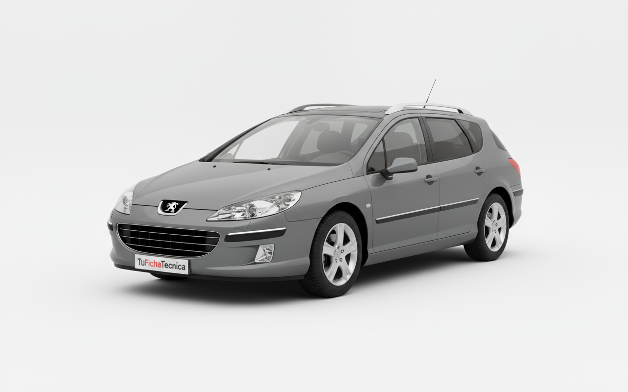 Peugeot 407 - Vista 1