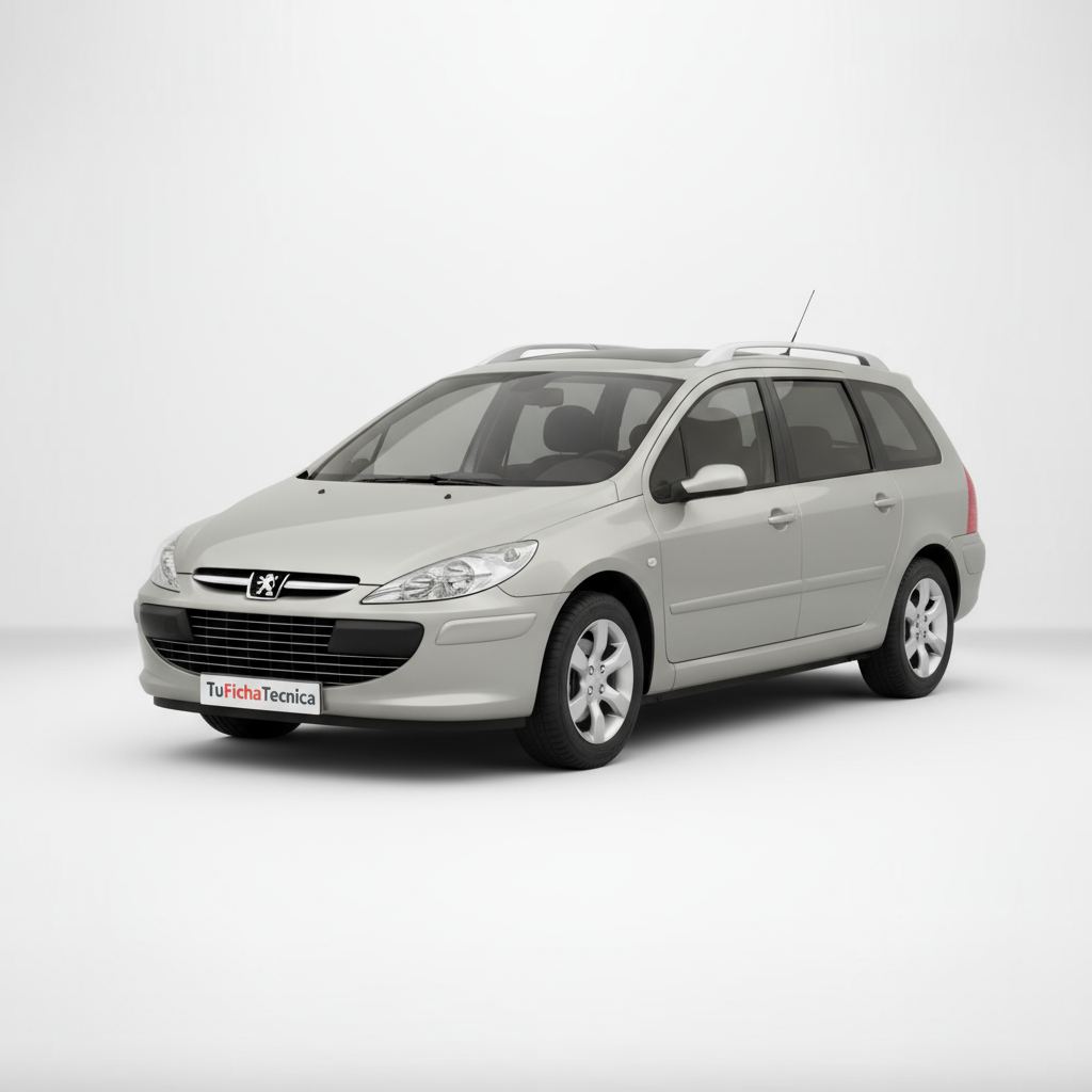 Peugeot 307 - Vista 1