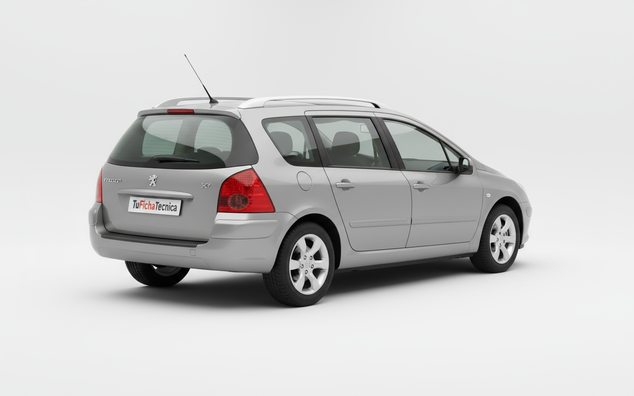 Peugeot 307 - Vista 2
