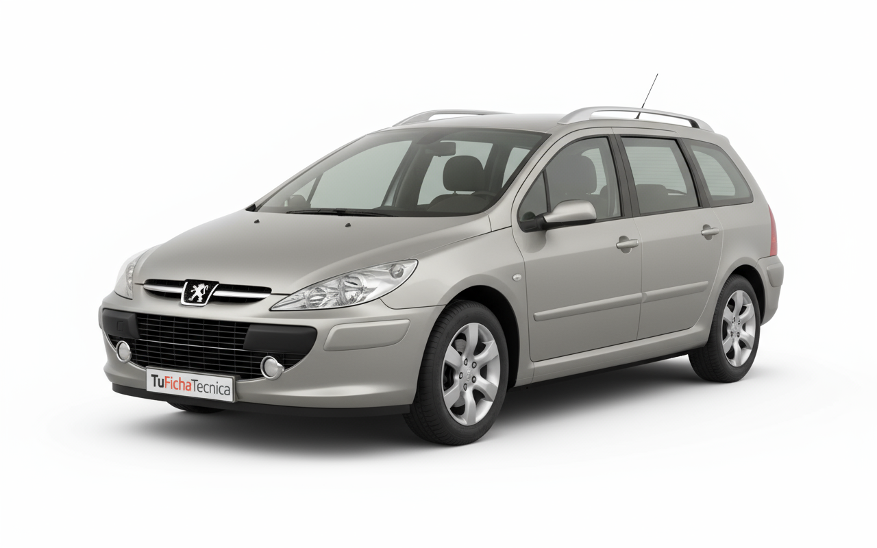 Peugeot 307 - Vista 1