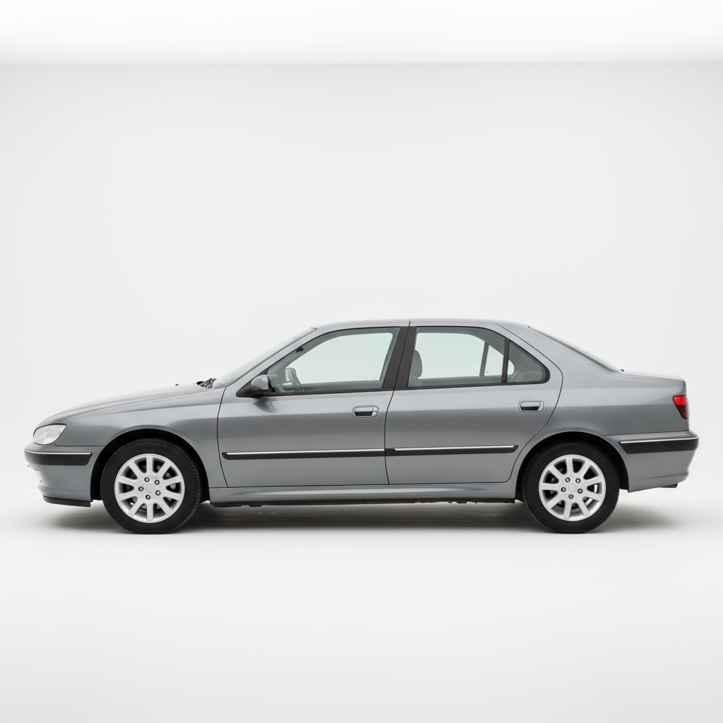 Peugeot 406 - Vista 3