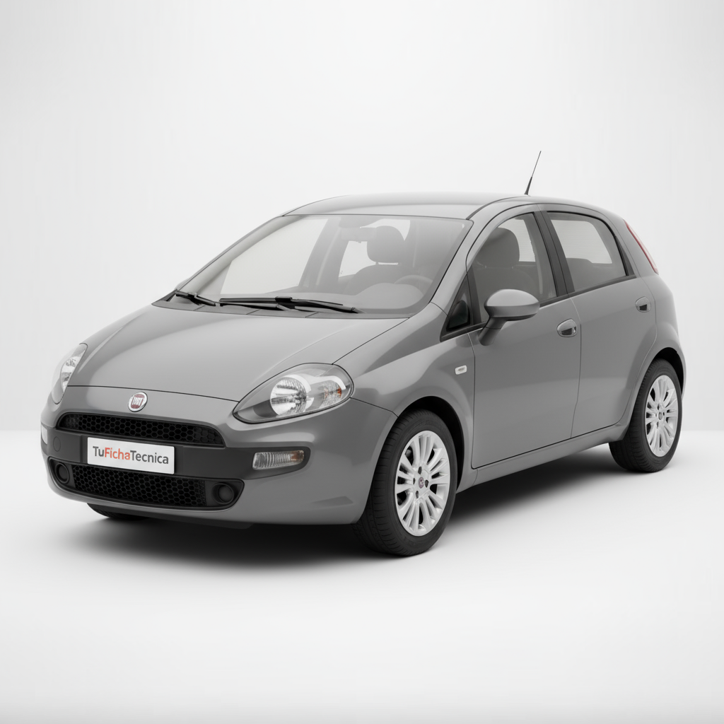 Fiat Punto - Vista 1