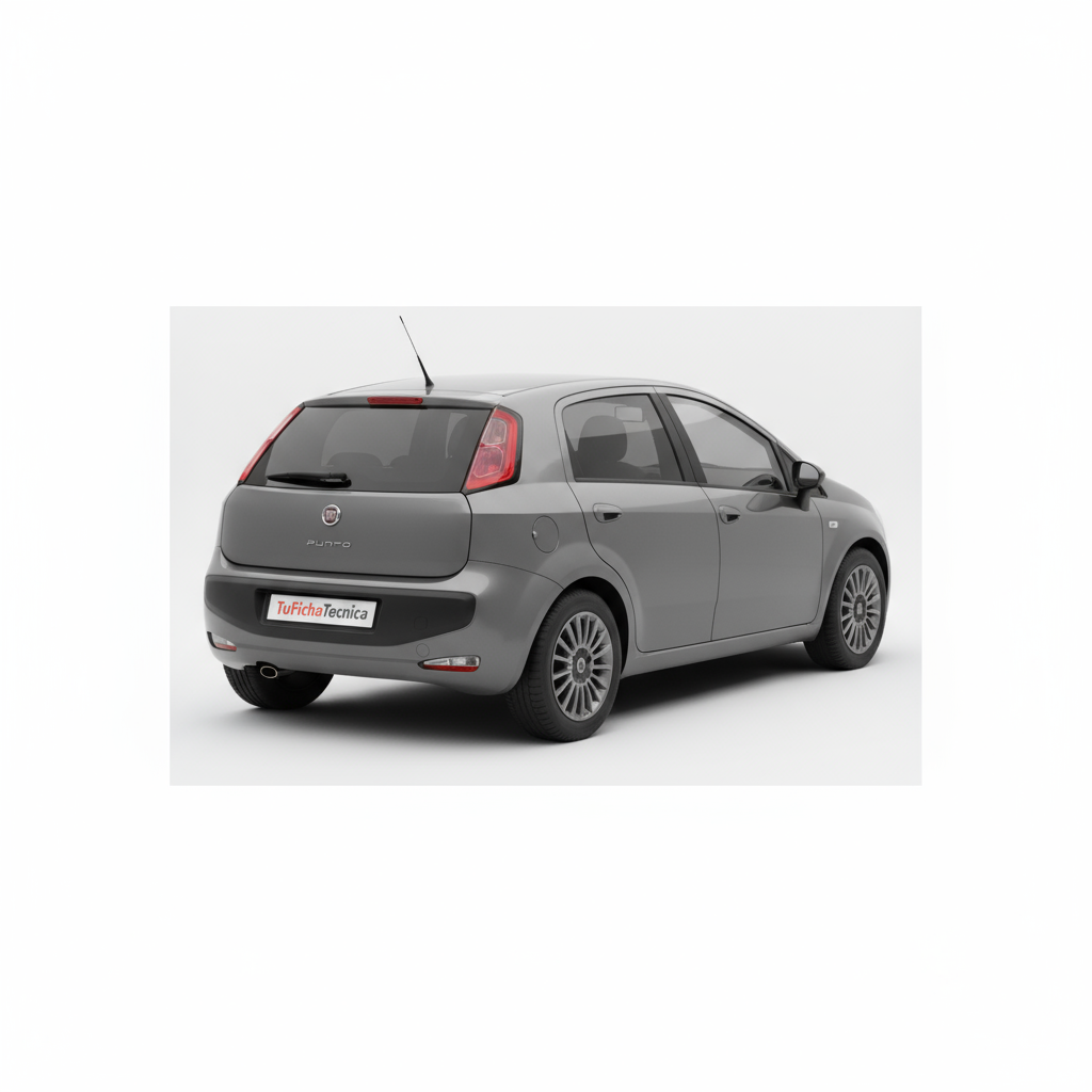 Fiat Punto - Vista 2