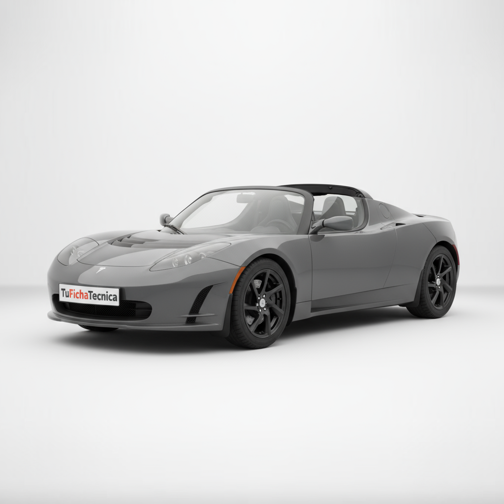 Tesla Roadster - Vista 1