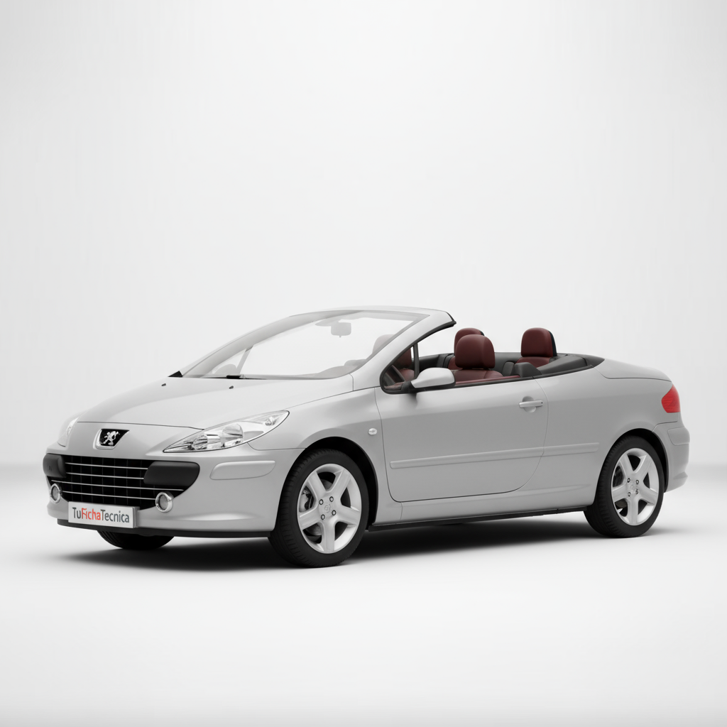 Peugeot 307 - Vista 1