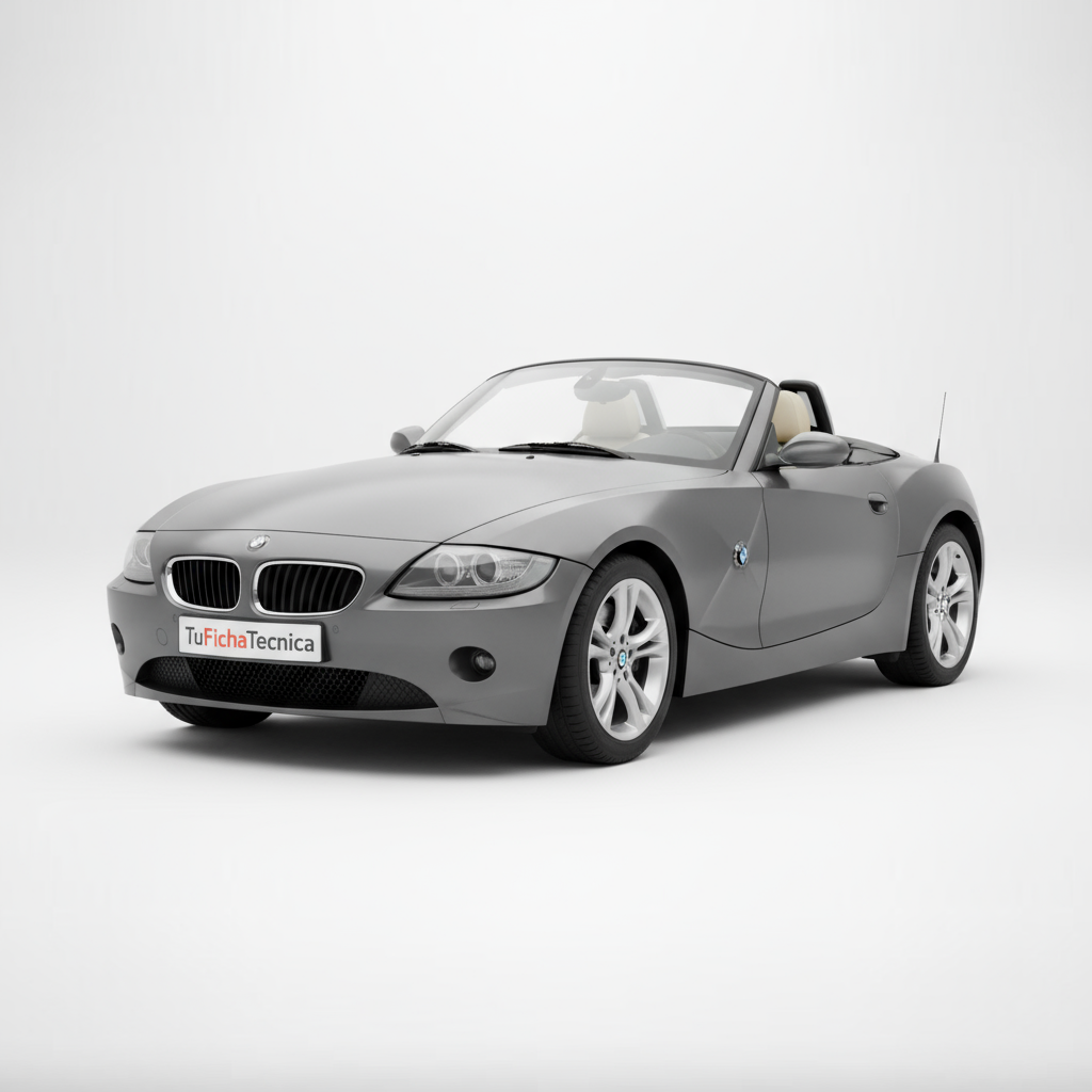 BMW Z4 - Vista 1